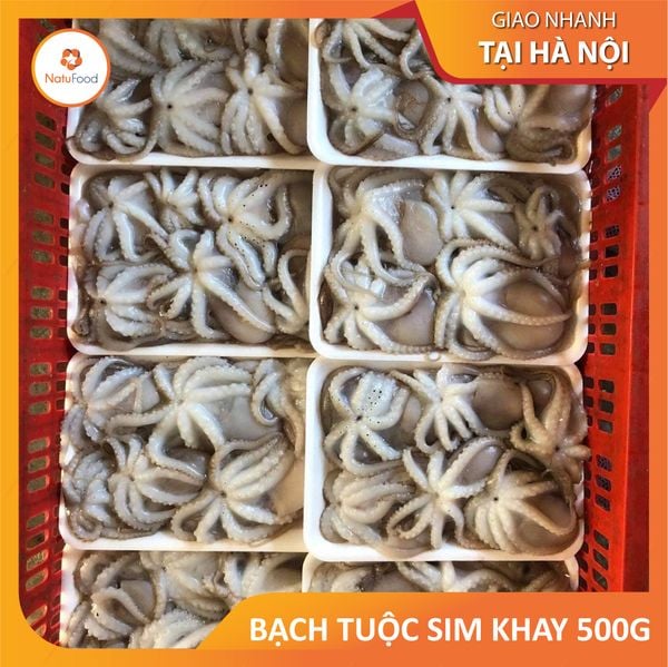 Bạch Tuộc Sim