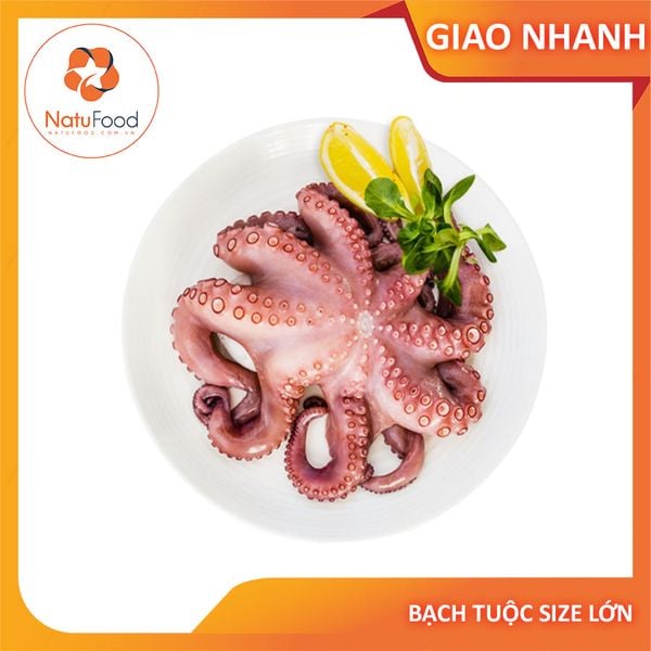 Bạch Tuộc Size Lớn