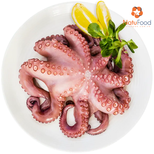 Bạch Tuộc Size Lớn