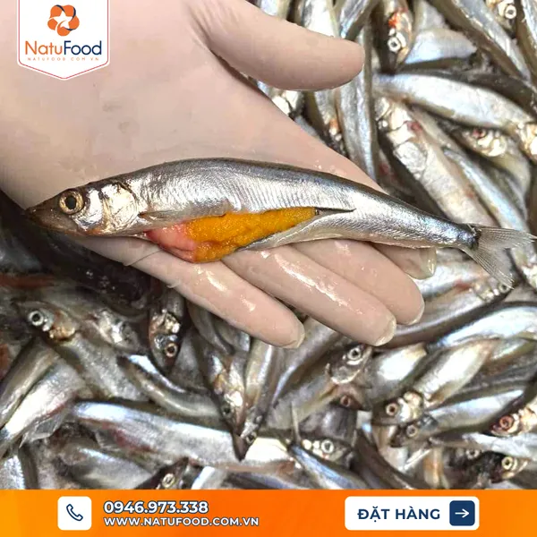 Cá Trứng là gì ? Cá Trứng nấu món gì ngon ?