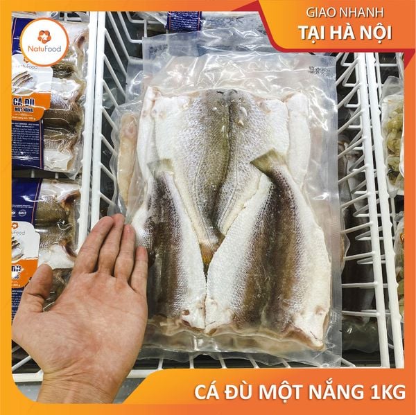 Cá Đù Một Nắng