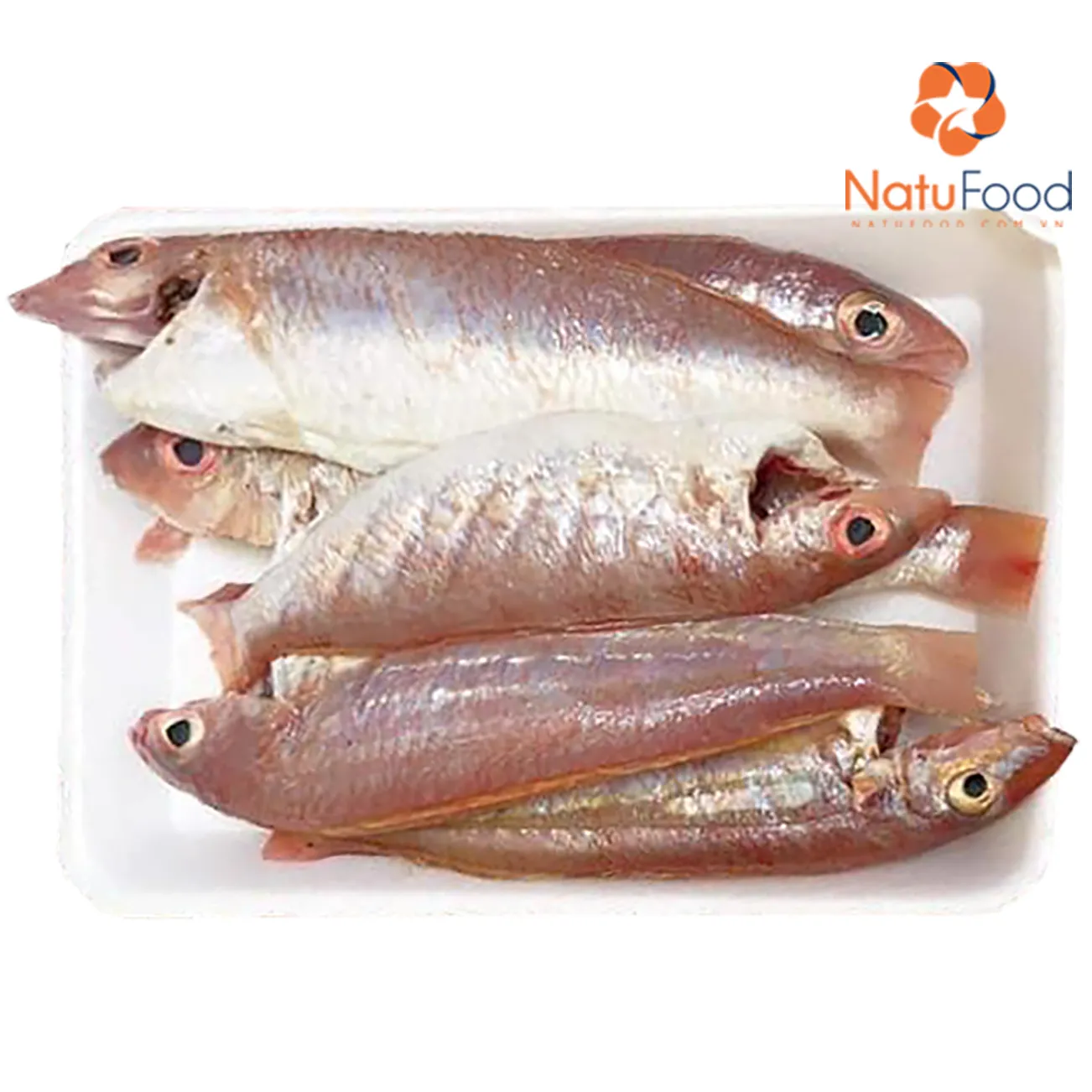 Cá Hồng Héo Một Nắng