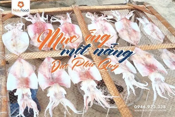 Mực một nắng là gì? Bí quyết chọn mua mực một nắng ngon !