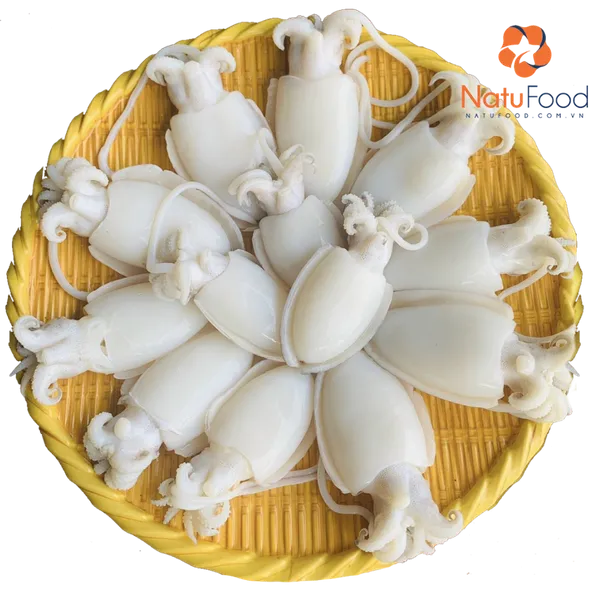 Mực Nang Làm Sạch