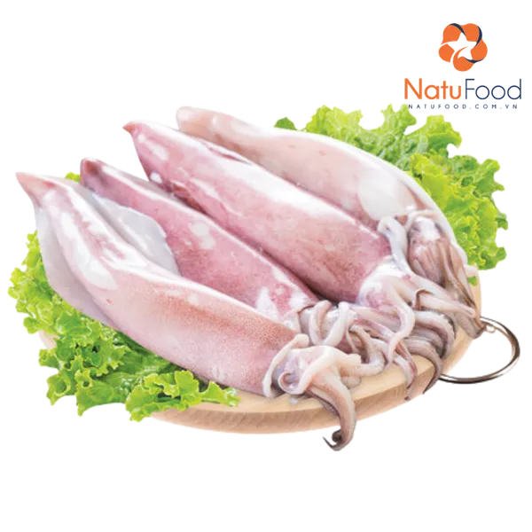 Mực Ống Quảng Ninh