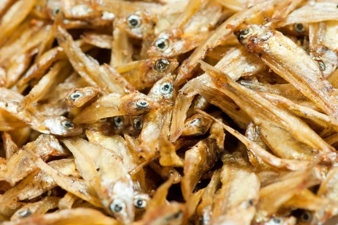 Thông tin về các loại cá cơm khô? Gợi ý chế biến món ăn.