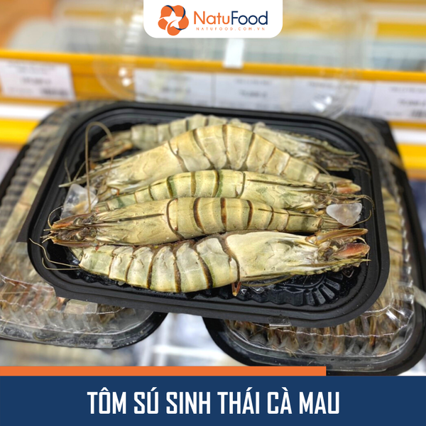 Tôm Sú Sinh Thái ĐL